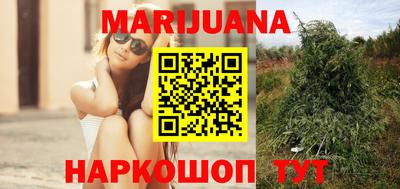 гидропоника Ирбит