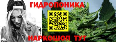 прущие грибы Изобильный