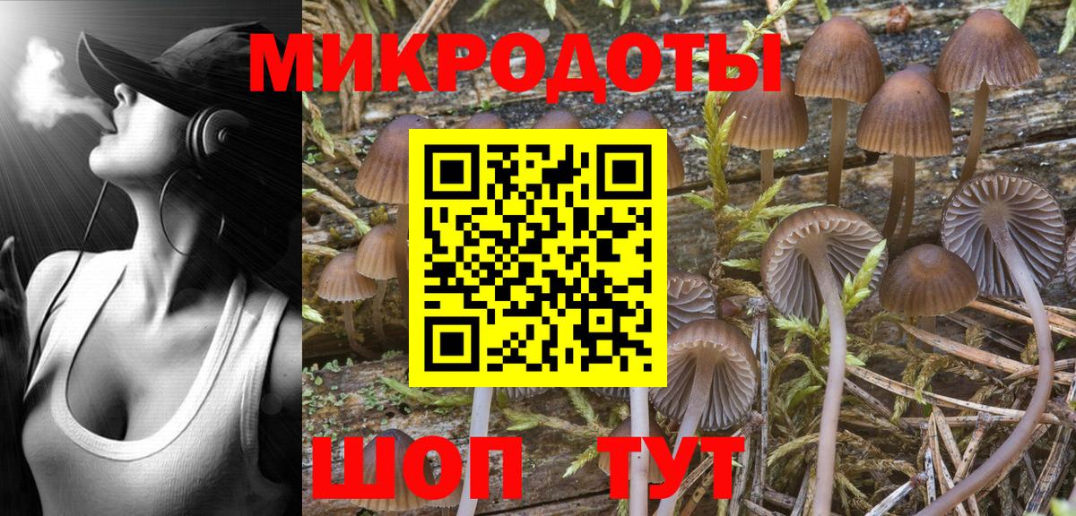 Курчатов  Галлюциногенные грибы Psilocybine cubensis  Псилоцибиновые грибы прущие грибы  Вход с VPN 