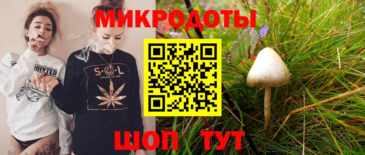 Галлюциногенные грибы прущие грибы Курчатов