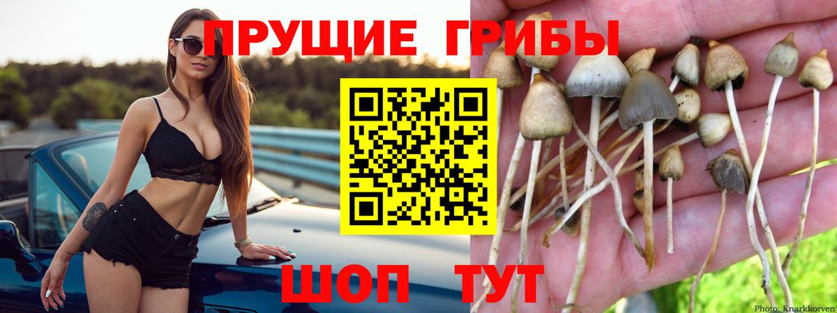 COCAIN  MDMA  Вход с VPN  Курчатов  Канабис  ГАШИШ  Меф МЯУ МЯУ кристаллы 